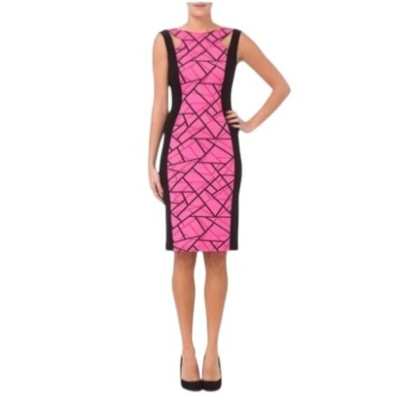 Joseph Ribkoff Dresses & Skirts - Joseph Ribkoff Sheath Dress Pink Size 8